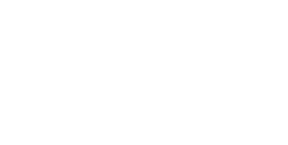 Pickup mit Wohnkabine